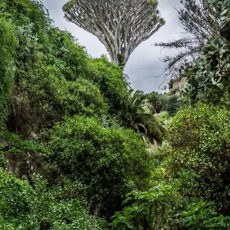 Apartment Casa Carmelita Las Palmas de Gran Canaria