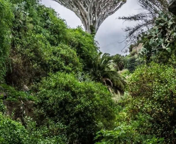 Apartamento Casa Carmelita Las Palmas de Gran Canaria